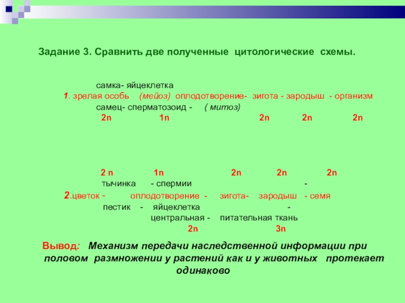 Задание 3. Сравнить две полученные цитологические схемы.