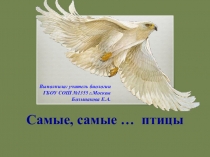 Самые, самые ... птицы