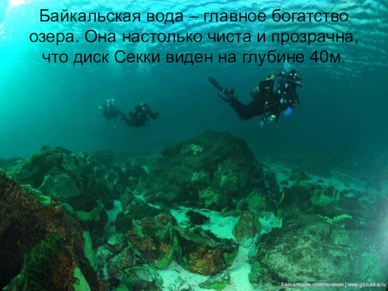Байкальская вода – главное богатство озера. Она настолько чиста и прозрачна, что диск Секки виден на глубине