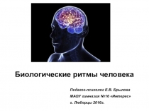 Методическая разработка к уроку психологии Биологические ритмы человека