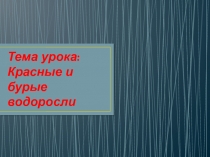 Презентация по биологии на тему  Красные и бурые водоросли
