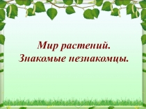 Презентация по биологии на тему Многообразие растений (6 класс)