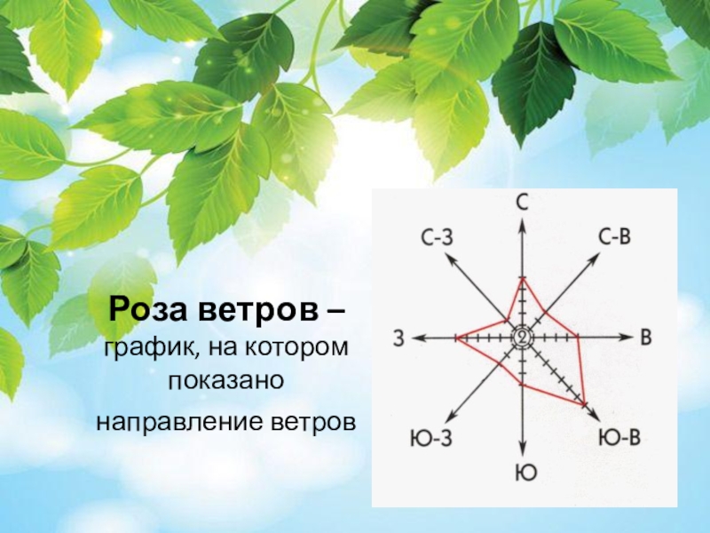 Ветер география 6 класс полярная звезда презентация