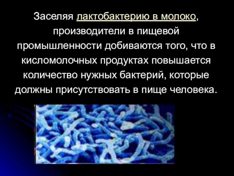 Бактерии в пищевой промышленности презентация