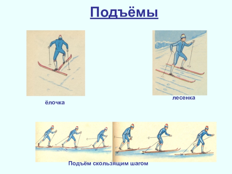 Определите вид подъема изображенного на рисунке подъем елочкой