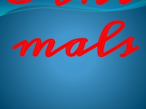 Презентация по английскому языку на тему Animals