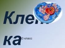 Презентация по биологии на тему Кл-ка1