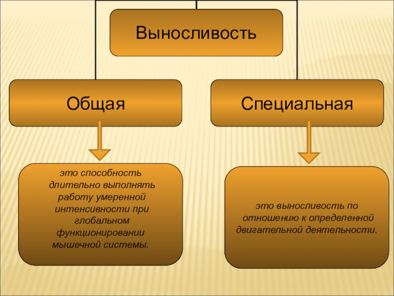 Способность длительно выполнять глобальную мышечную. Умеренная и средняя интенсивность.