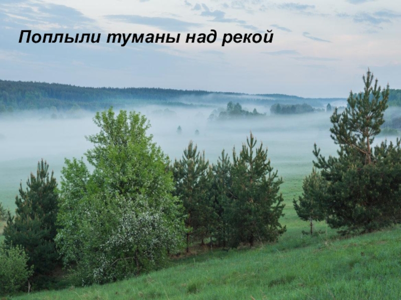 Песня над рекой. Поплыли туманы над рекой. Песня поплыли туманы над рекой. Над рекою туман текст. Город родной встал над рекой.