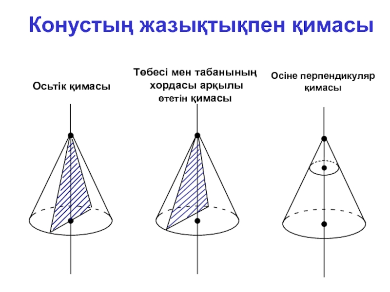 Конус презентация 11 сынып