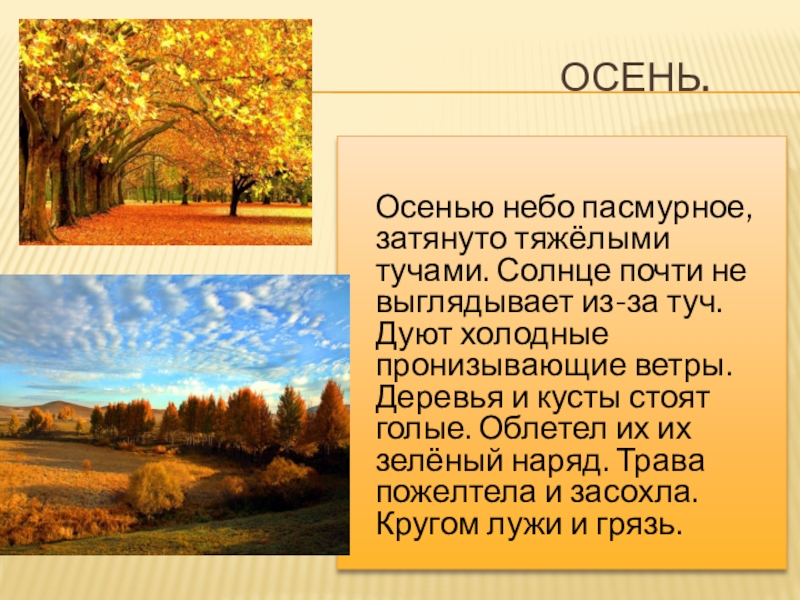 Рассказ Про Осень В Художественном Стиле Речи