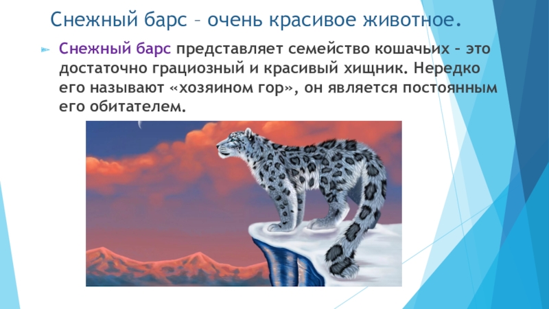 Урок цифры облачные технологии поисков снежного барса. Загадки про снежного Барса. Снежный Барс интересные предложение. Загадка про снежного Барса для детей. Генетический критерий снежного Барса.