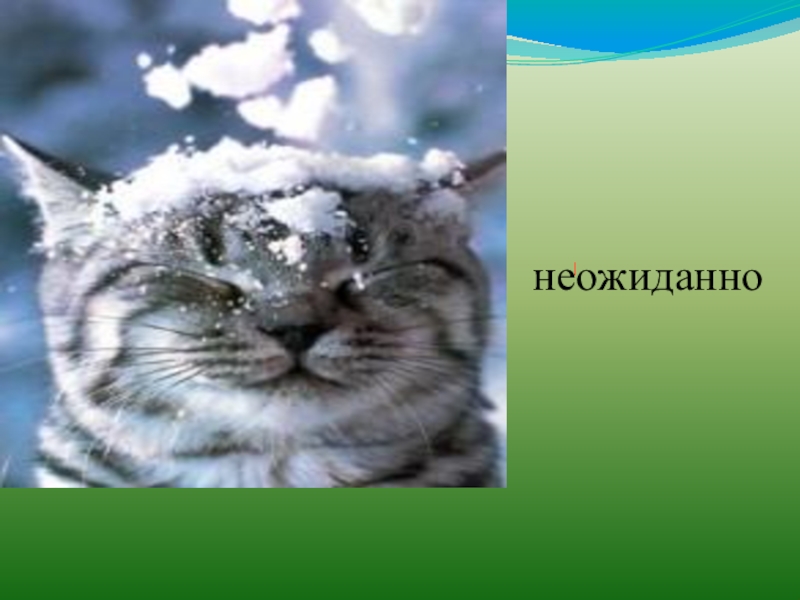 Как снег на голову значение. Как снег на голову. Снег на голову фразеологизм. Как снег на голову фразеологизм. Свалился как снег на голову.