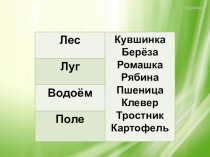 Презентация по окружающему миру на тему: Искусственные сообщества. Поле. 4 класс