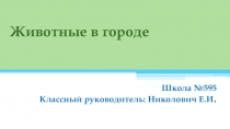 Презентация по окружающему миру Животные в городе (2 класс)