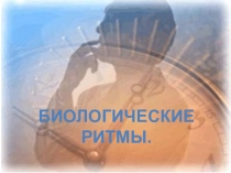 Презентация по биологии на тему: Биологические ритмы