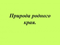 Презентация по окружающему миру Природа родного края
