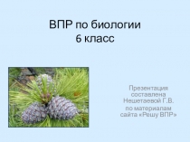 Презентация по биологии ВПР 6 класс