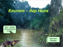 Презентация Урок по истории 5 класс Египет - дар Нила