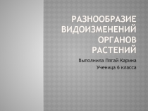 Презентация по биологии Разнообразие видоизменений органов растений .