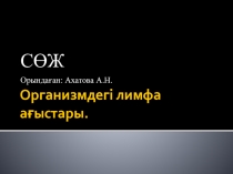 Презентация тақырыбы Организмдегі лимфа ағыстары