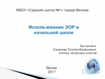 Презентация к выступлению Использование электронных образовательных ресурсов на уроках в начальной школе