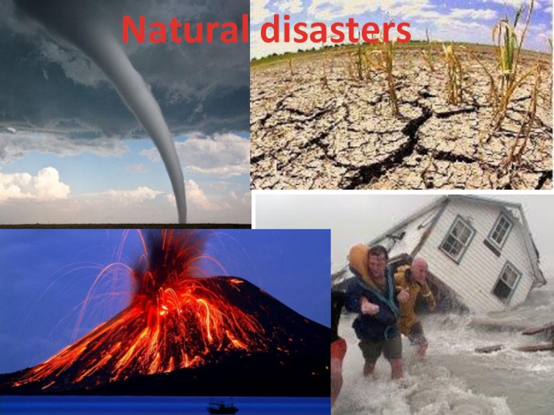 Natural Disasters 8 класс. Природные бедствия по английски. Биболетова 8 класс презентация natural Disasters. Natural Disasters 8 класс2) which of the natural Disaster involve. Spotlight natural disasters