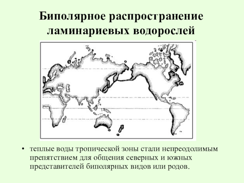 Распространение животных. Биполярное распространение. Биполярное распределение. Биполярное распространение водных млекопитающих. Биполярное распространение птиц.