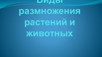 Презентация к уроку Способы размножения растений и животных