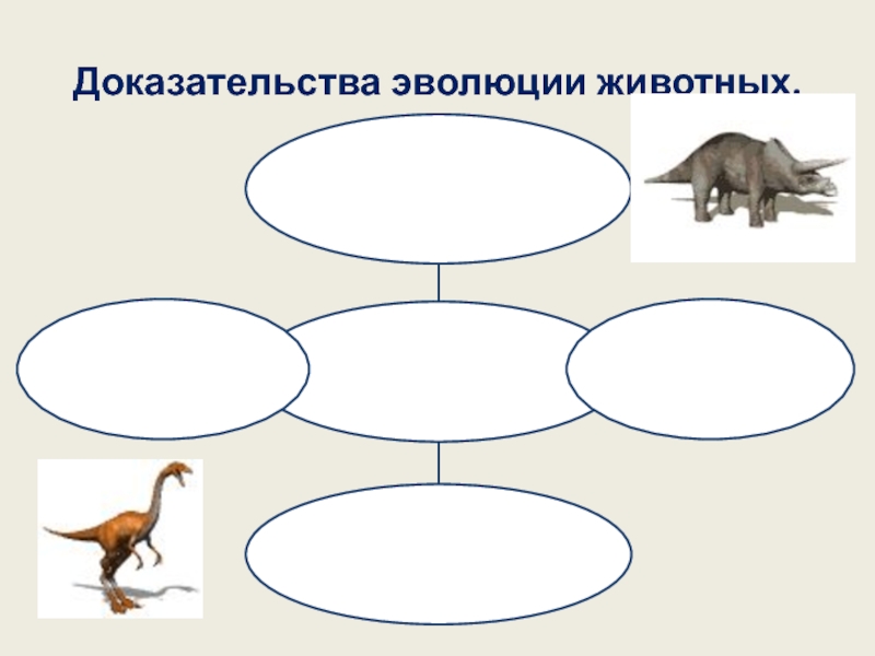 Презентация на тему развитие животного мира на земле