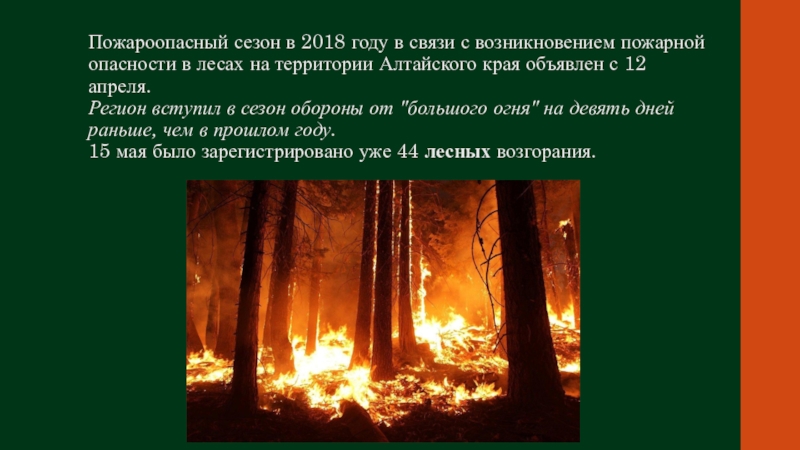 Текст берегите лес от пожара. Текст на тему берегите лес. Презентация берегите лес от пожара. Сочинение на тему береги лес от пожара. Текст на тему береги лес от пожара.