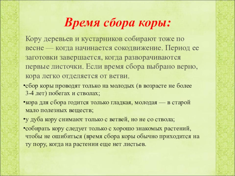 Период собирать. Кора время сбора. Время сбора. Кора лучшее время сбора. Правила заготовки сбора кора.