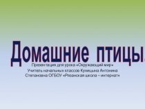 Презентация к предмету Окружающий мир Домашние птицы 4 класс