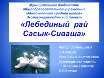 Презентация проекта Лебединый рай Сасык-Сиваша