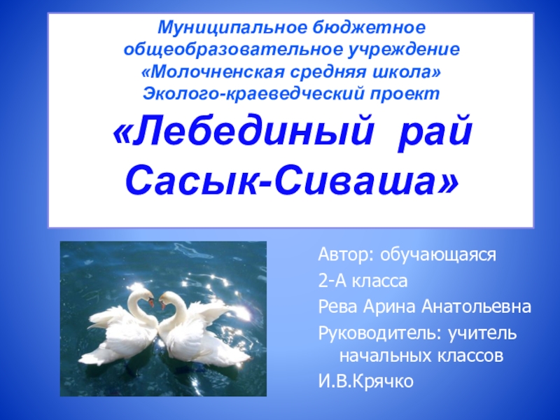 Презентация Презентация проекта Лебединый рай Сасык-Сиваша