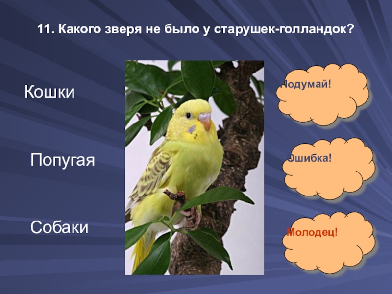 11. Какого зверя не было у старушек-голландок?Кошки Попугая Собаки Подумай!Ошибка!Молодец!