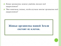 Презентация по биологии на тему Строение клетки