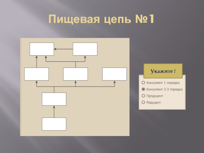 Лабораторная работа по биологии составление схем передачи веществ и энергии цепей питания