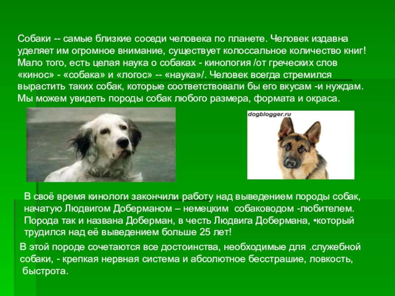 Почему собаку назвали собакой. Презентация на тему собака друг человека. Доклад собака друг человека. Рассказ собака друг человека. Собака друг человека сочинение.