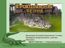Презентация по биологии Крокодиловая ферма