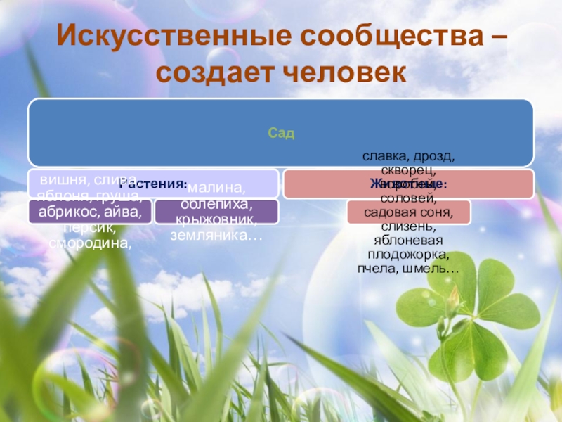 Естественным сообществом является. Искусственные сообщества. Искусственные природные сообщества. Искусственные сообщества в биологии. Искусственное сообщество это кратко.