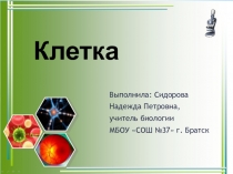 Презентация по биологии Клетка. Подготовка к экзамену