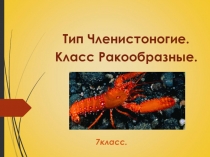 Презентация по биологии на тему Тип членистоногие. Класс ракообразные (7 класс)