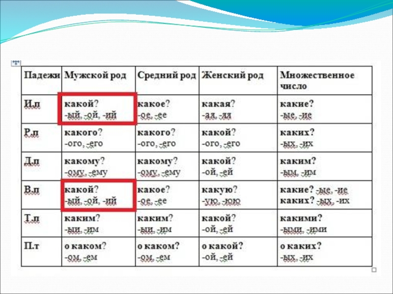 Схема склонение притяжательных прилагательных