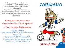 Проект По следам забиваки