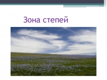 Презентация по окружающему миру