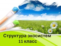 Презентация по биологии на тему Структура экосистем (11 класс)