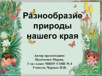 Презентация по окружающему миру на тему Природа Воронежского края