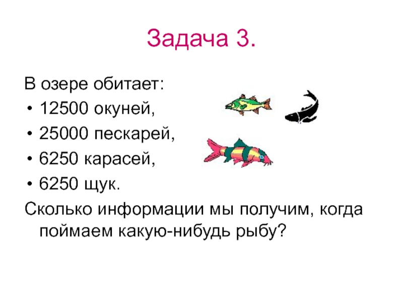 Поймали какое число. В озере обитает 12500 окуней 25000 пескарей а карасей и щук по 6250 какое. Задача по информатике окуни пескарей и караси.