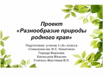 Презентация по окружающему миру на тему Разнообразие природы родного края (3 класс)